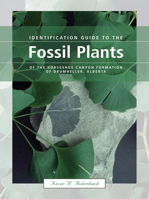 cover image of Identification Guide to the Fossil Plants of the Horseshoe Canyon Formation of Drumheller, Alberta